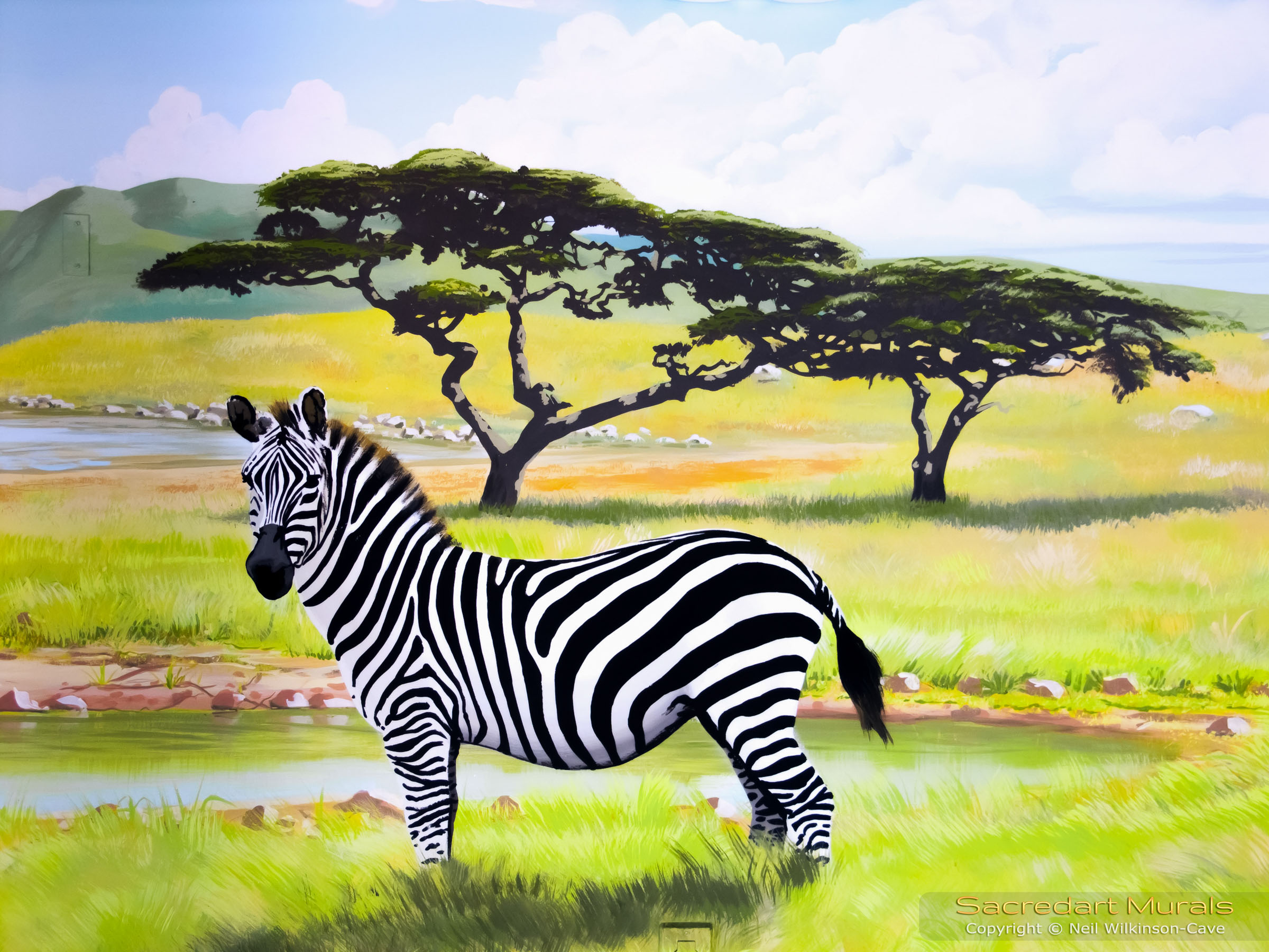 african serengeti zebra mural