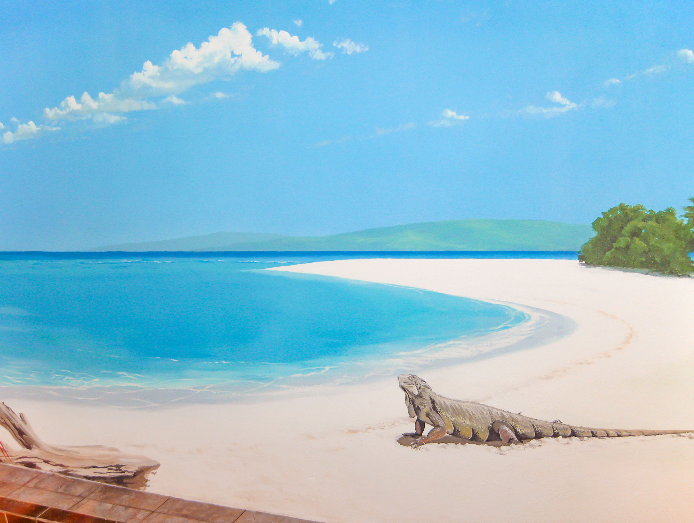 lizard-on-beach-soft-clouds-mural