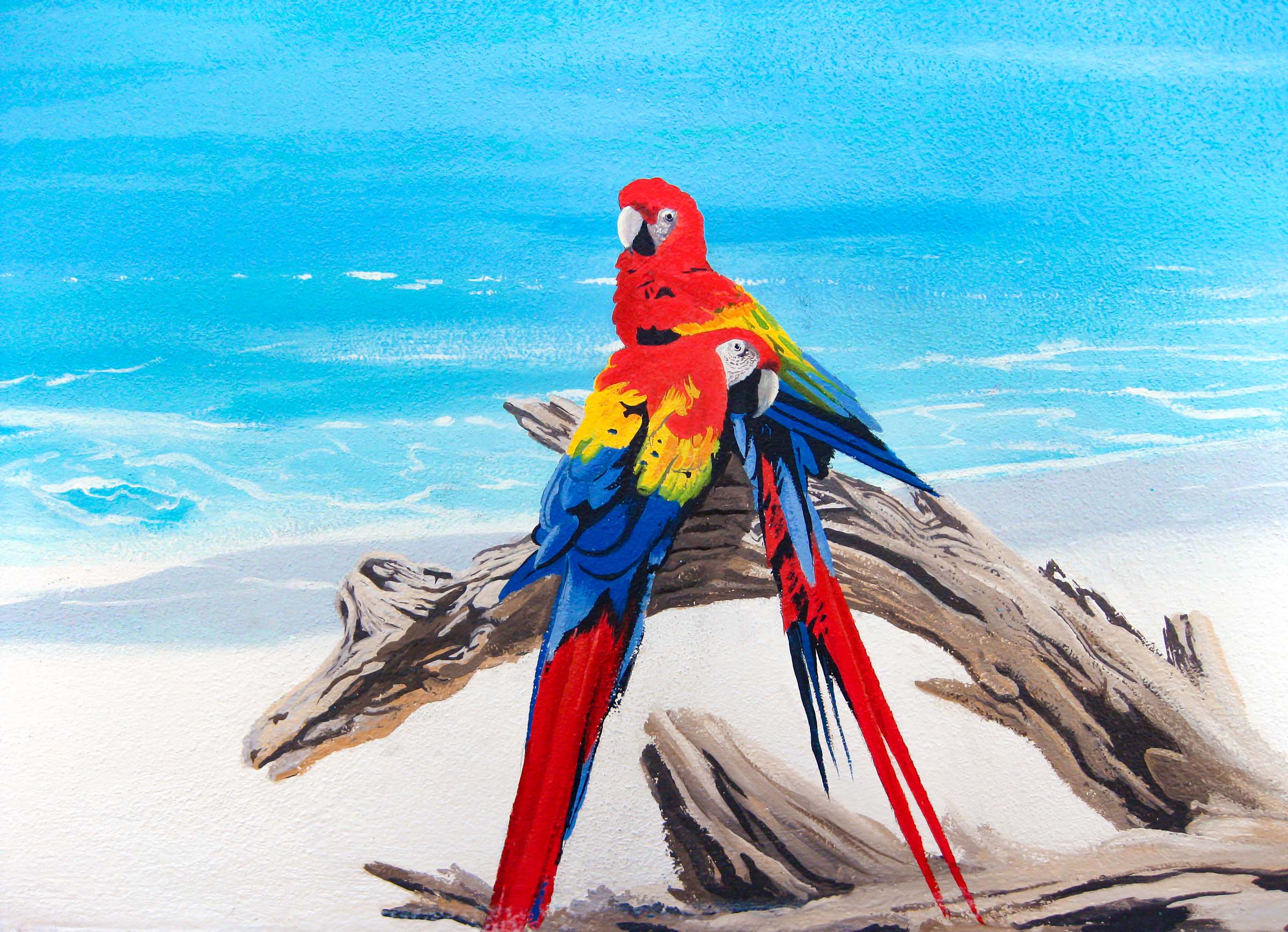 colorful-parrots-on-driftwood-mural