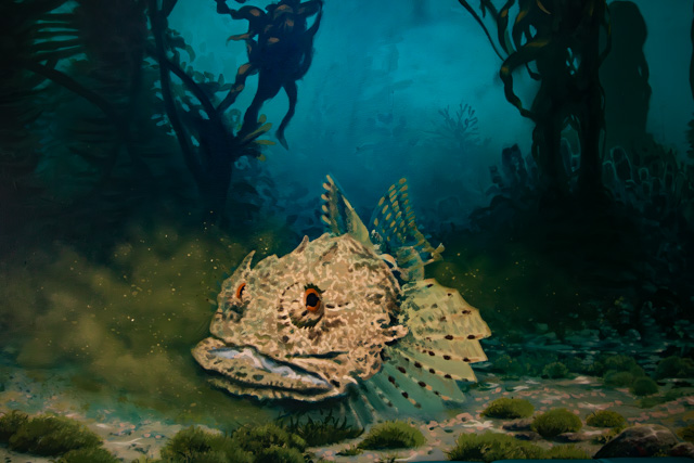 Sealife Mural, Monkfish