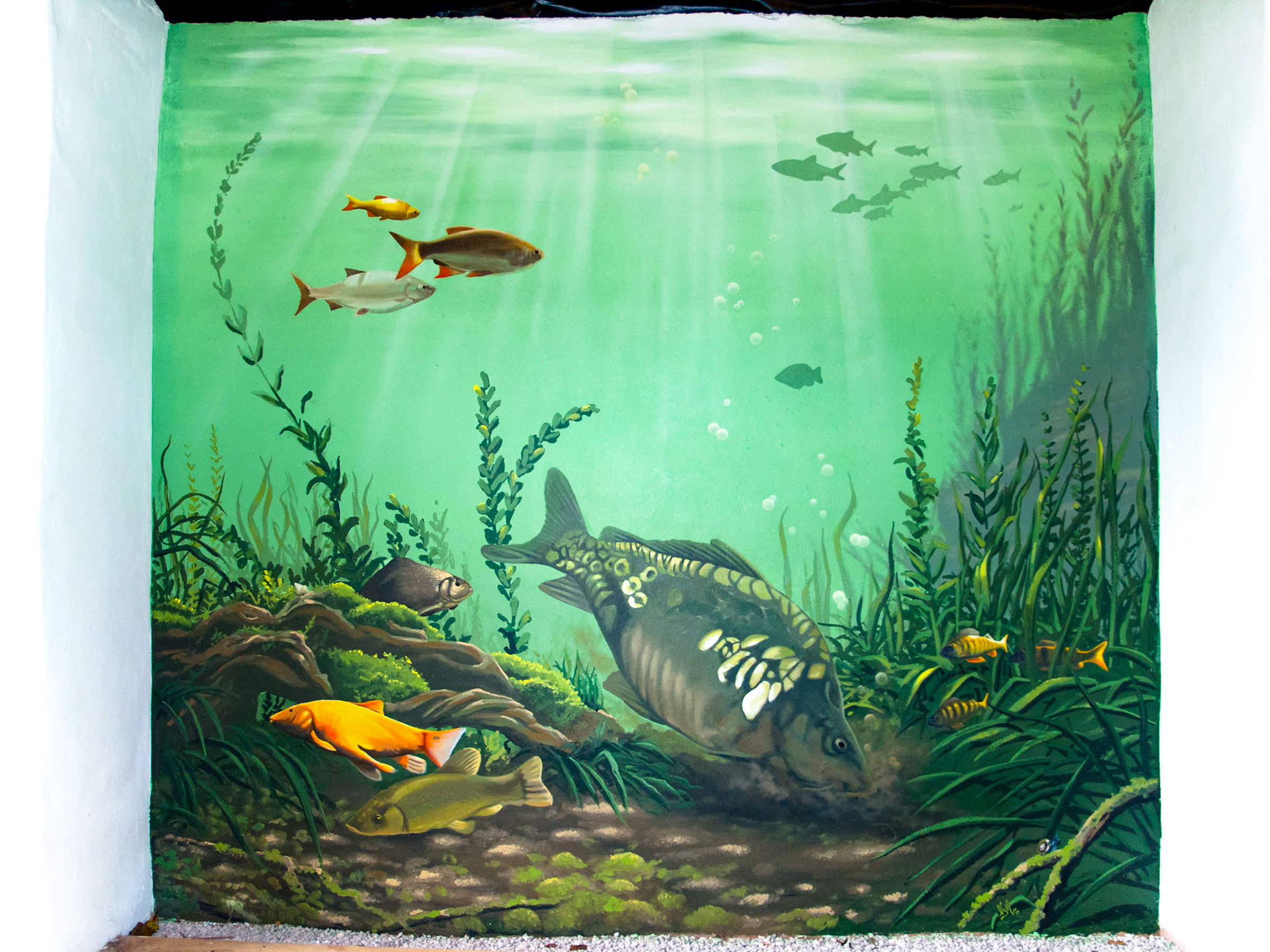 Garden Mural fish pond painting with Mirror Carp