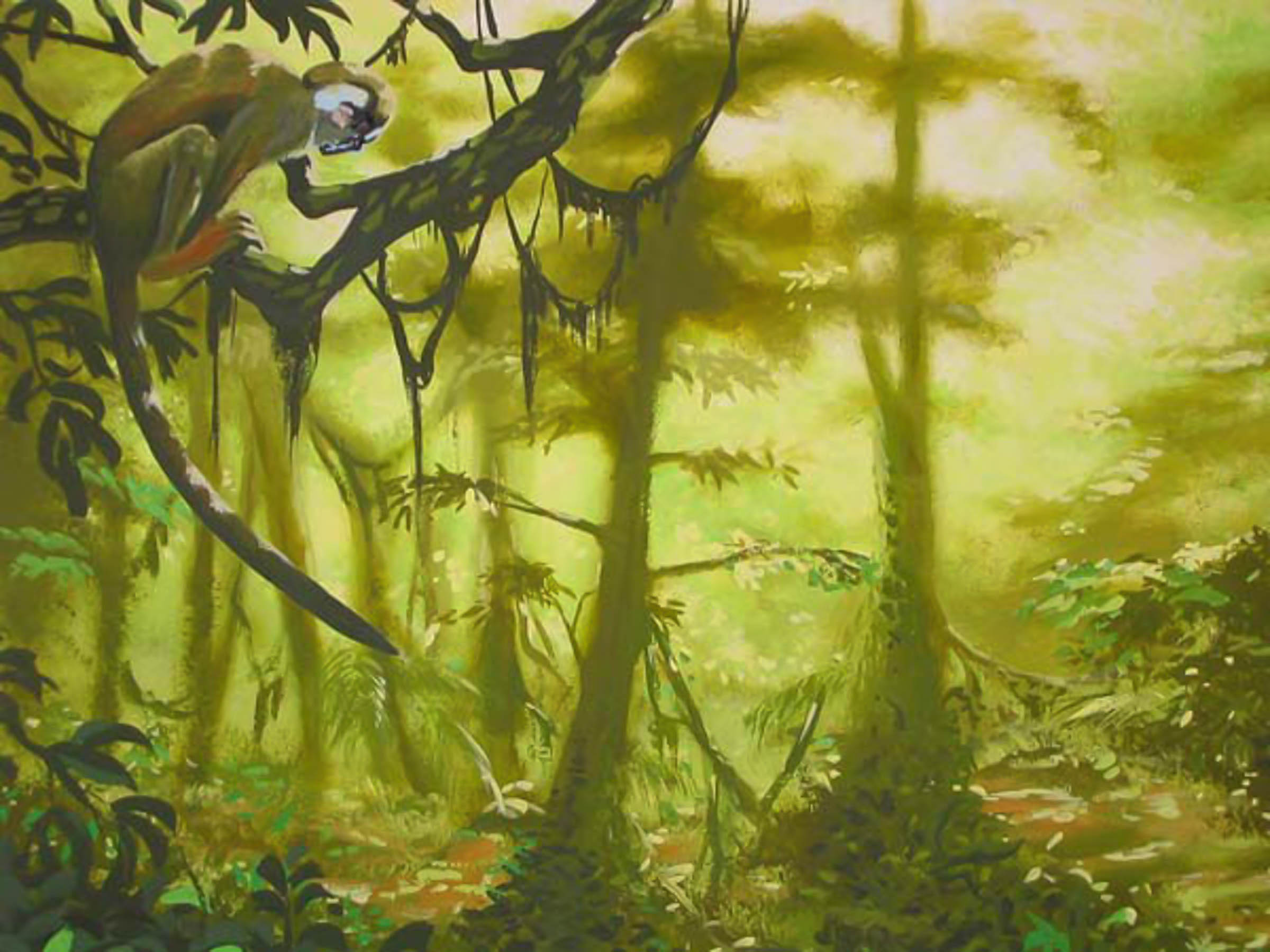 Monkey in sunlit sunlight jungle painting with light