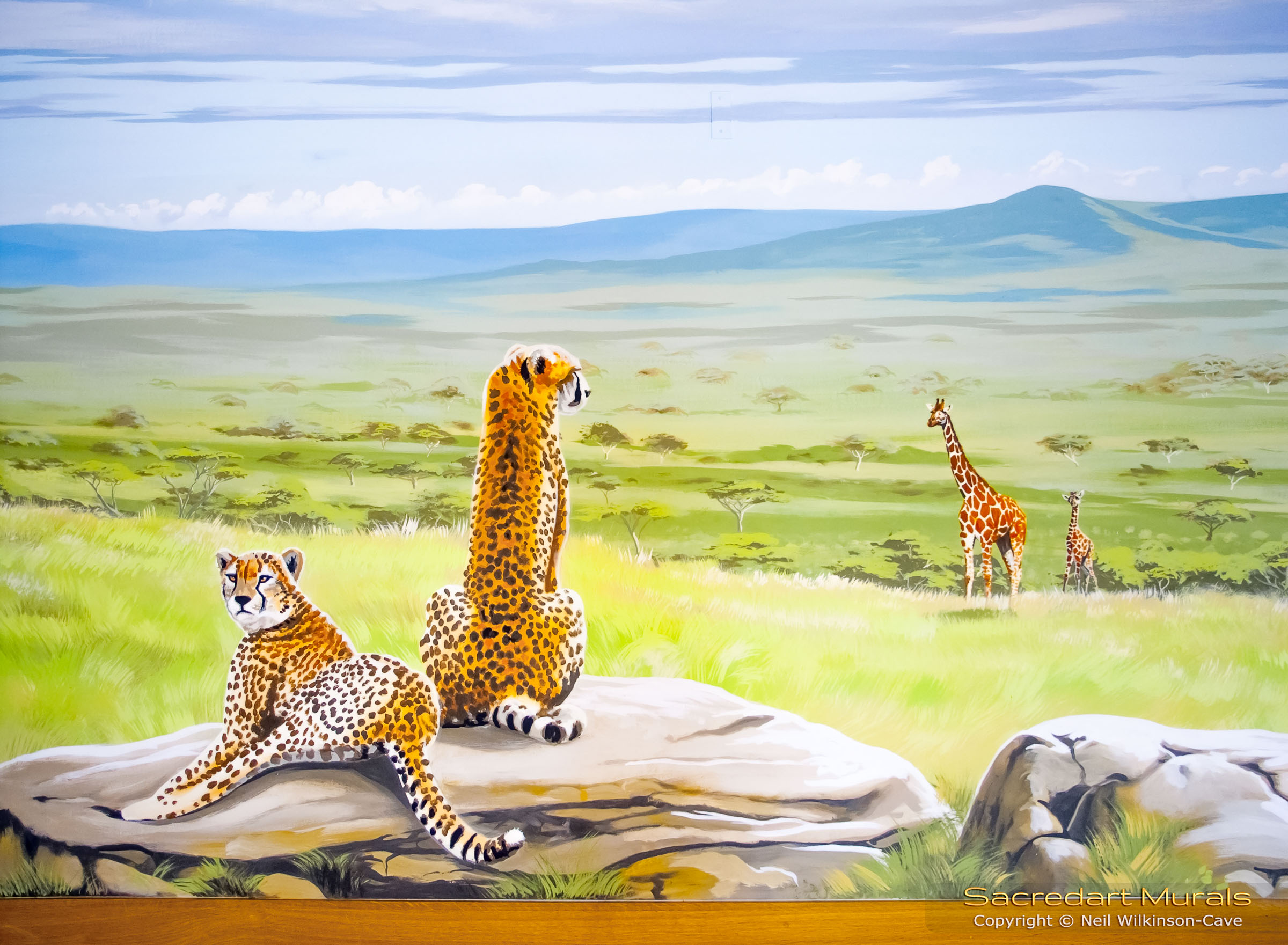 Cheetahs on rock in serengeti mural