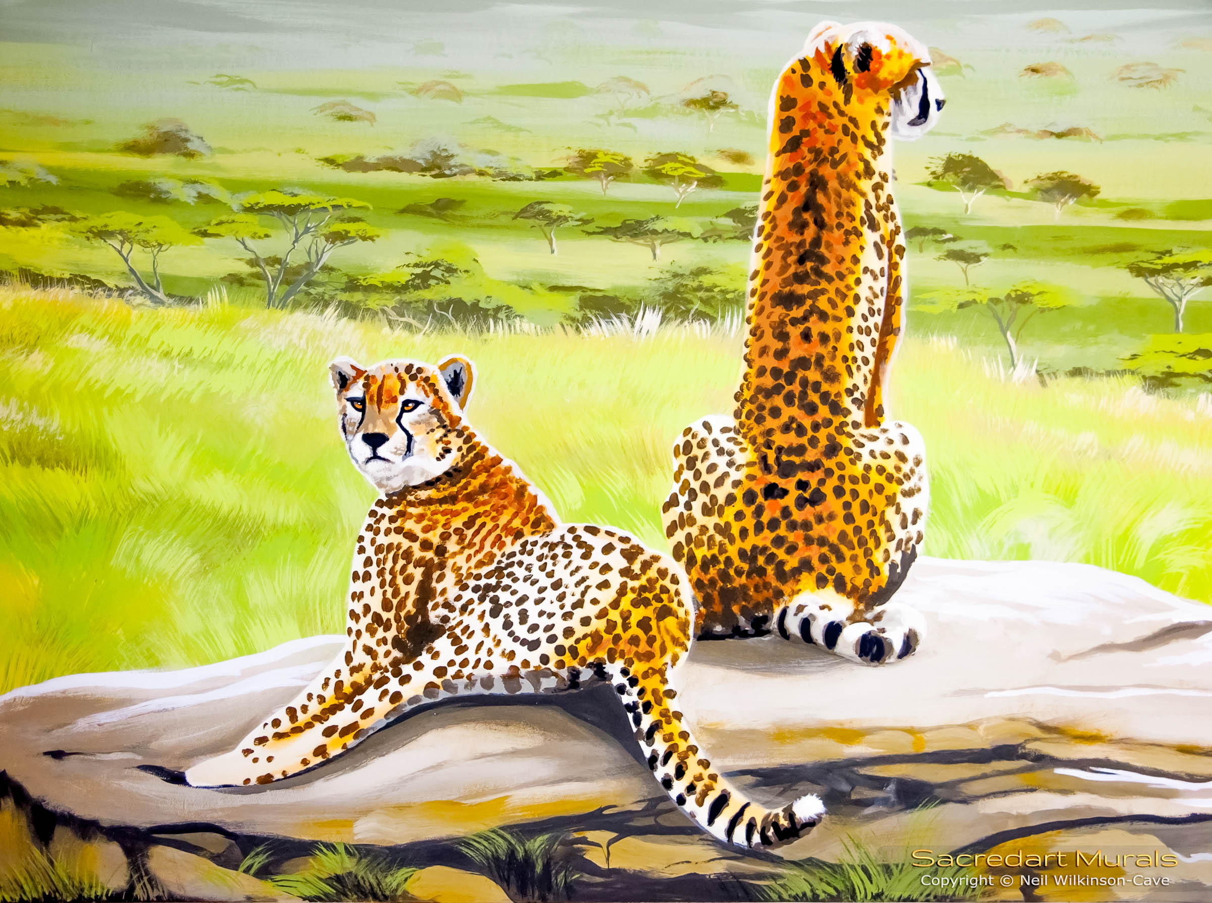 Cheetahs on a rock mural