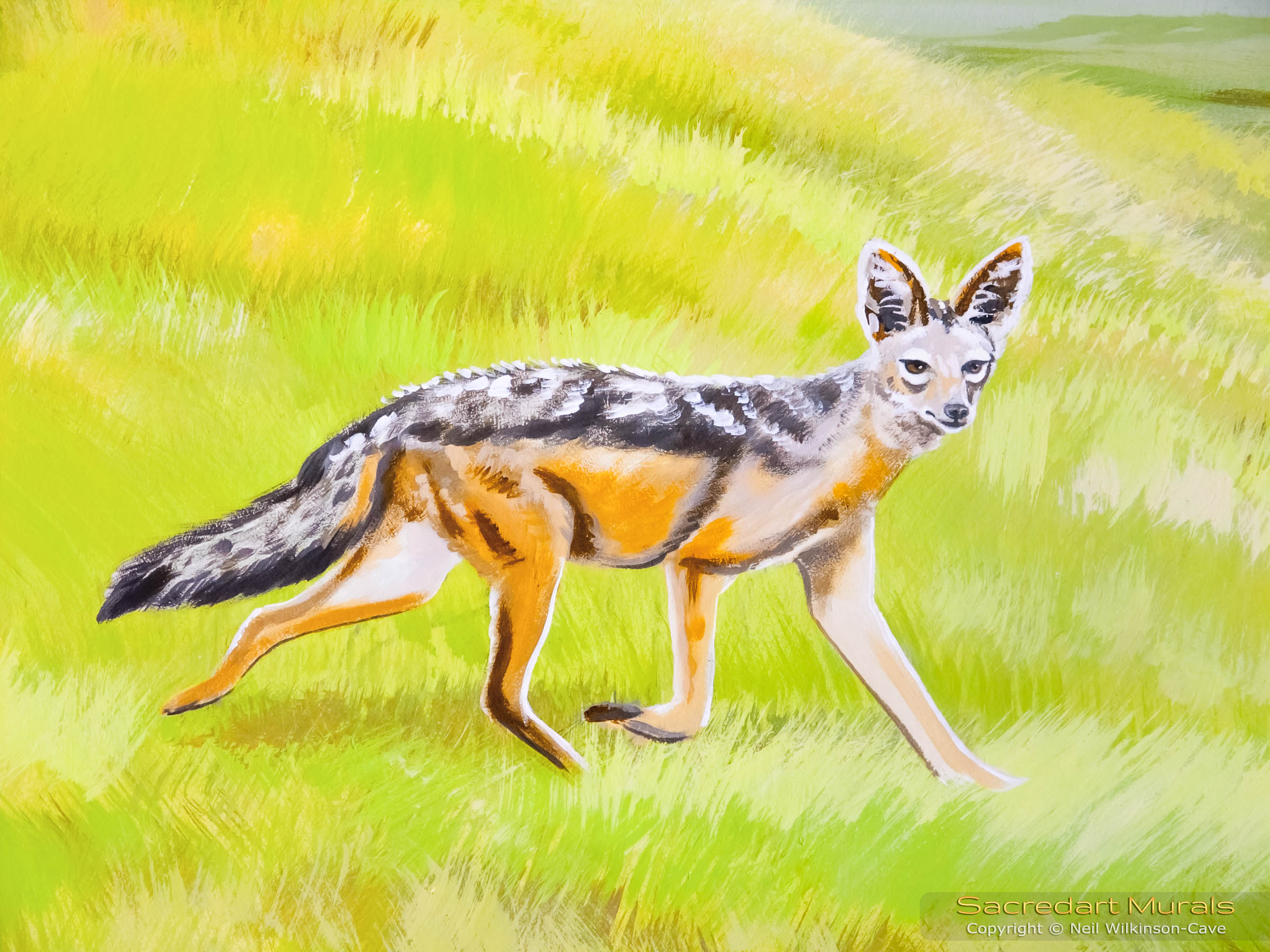 jackal painting